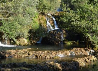 Scholarly Opinions on the Identity of the Harbours