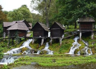 Sources and Eyewitness Information